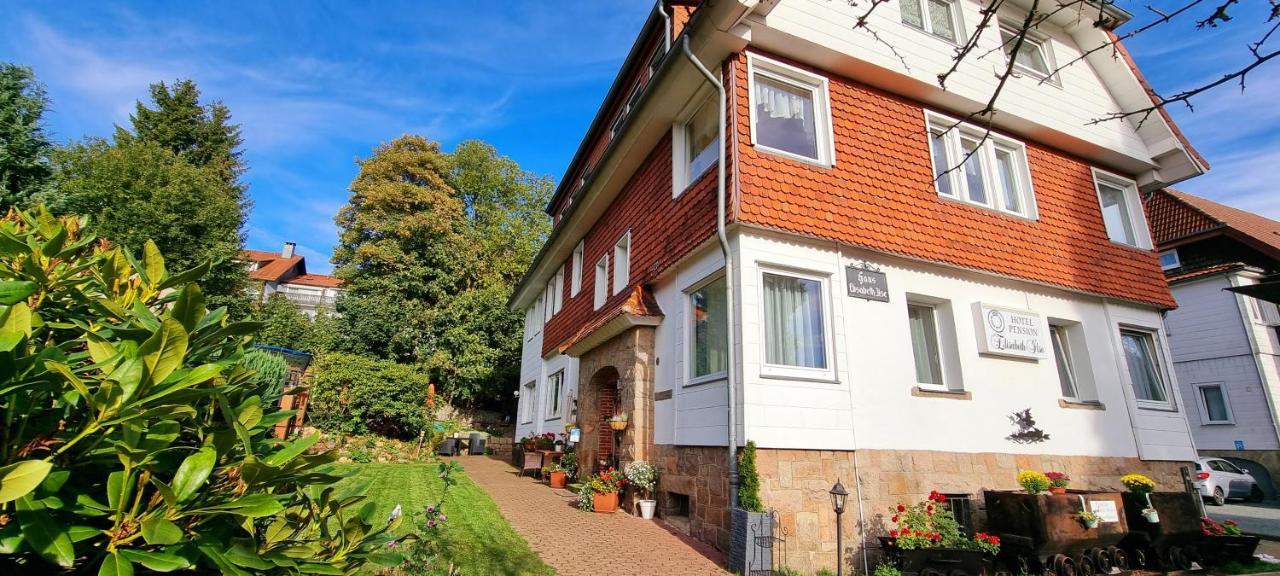 Hotel Elisabeth Ilse Braunlage Zewnętrze zdjęcie