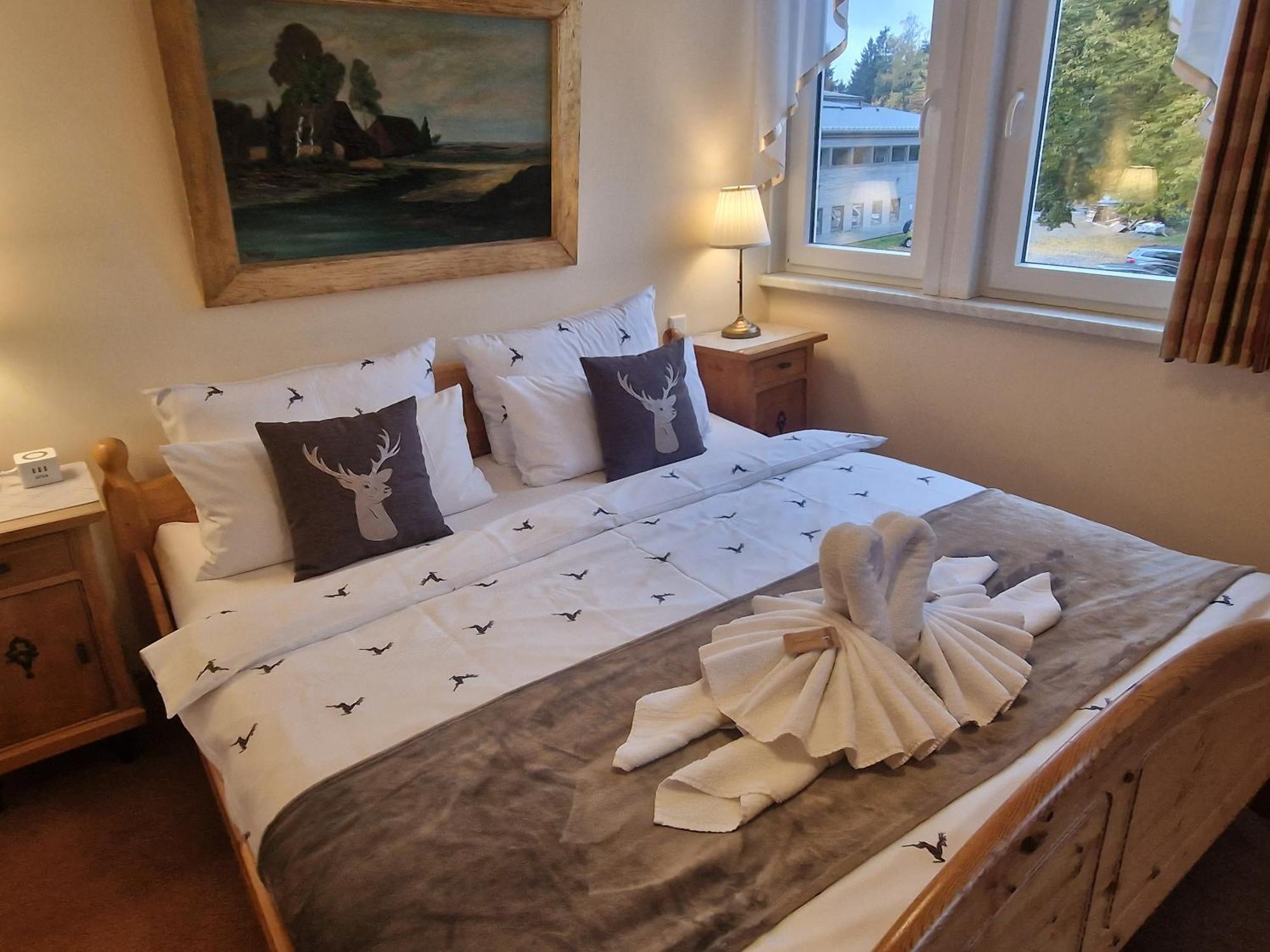Hotel Elisabeth Ilse Braunlage Zewnętrze zdjęcie